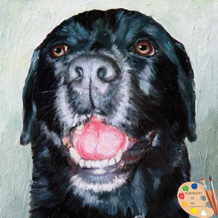 Black Labrador Oil Portrait painted from Photo Portraits by NC Rings