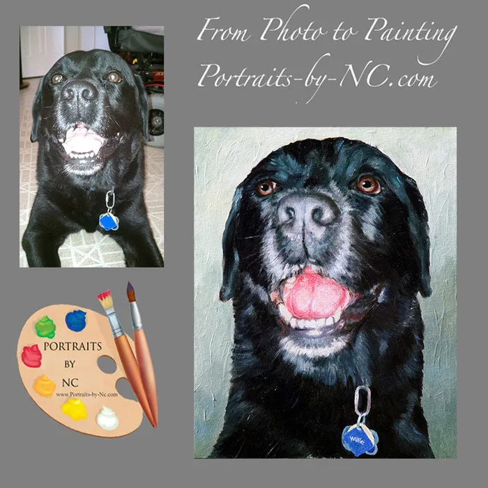 Black Labrador Oil Portrait painted from Photo Portraits by NC Rings