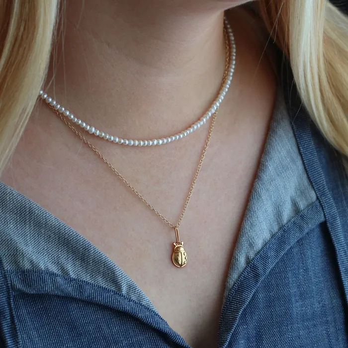 Charm Necklaces Kris Nations Ladybug Charm