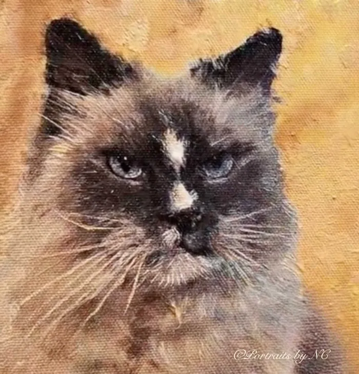 Earrings Portraits by NC Birman Cat Portrait in Oil