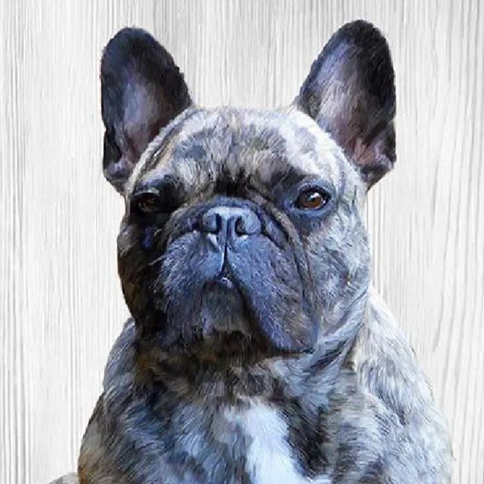 Necklaces Portraits by NC French Bulldog Dog Custom Painted Pet Portrait