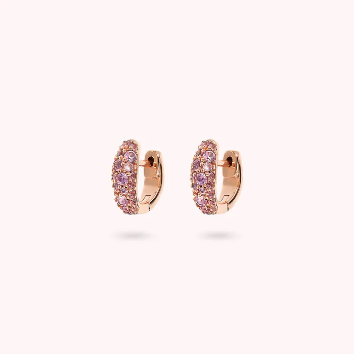 Orecchini a Cerchio Graduati con Pav di Cubic Zirconia Bronzallure Rings