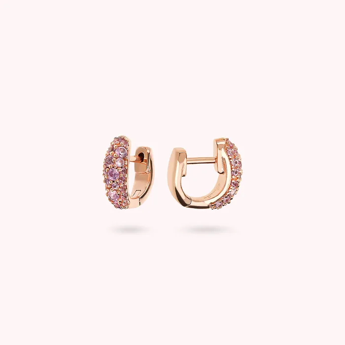 Orecchini a Cerchio Graduati con Pav di Cubic Zirconia Bronzallure Rings