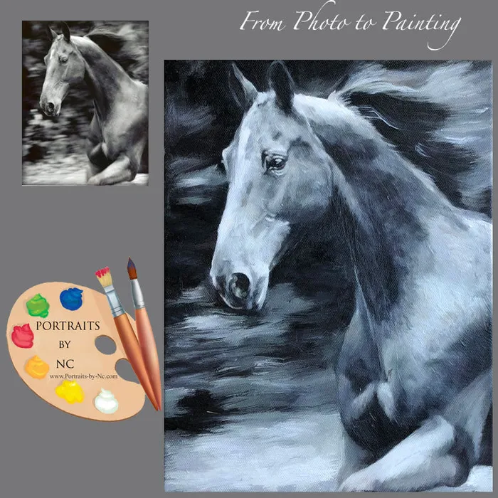 Rings Portraits by NC Horse Portraits Oil Portrait in Black and White