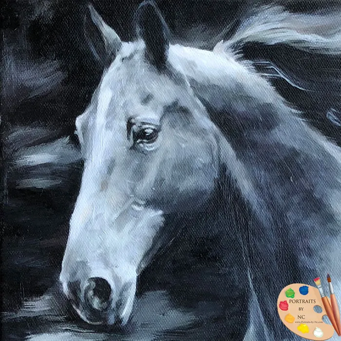 Rings Portraits by NC Horse Portraits Oil Portrait in Black and White