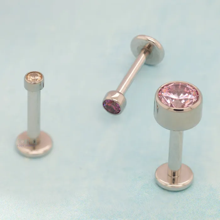 3mm BezelSet BrilliantCut Gem on Flatback Anatometal Earrings