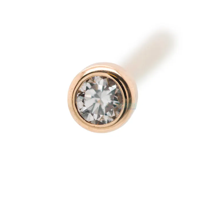 BezelSet Nostril Screw in Gold with DIAMOND Body Vision BVLA Earrings