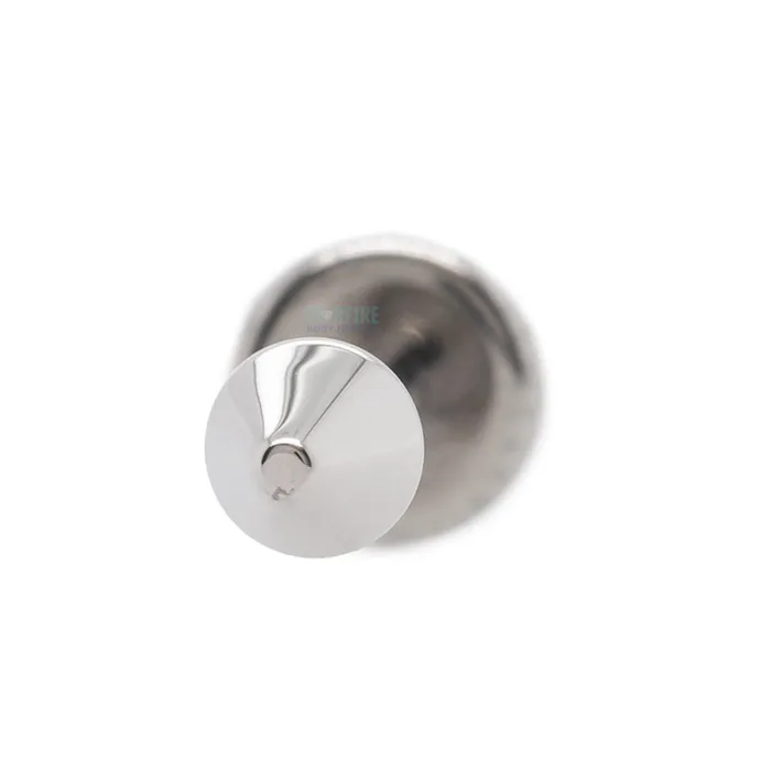 Earrings Anatometal Stainless Steel Spike on Flatback