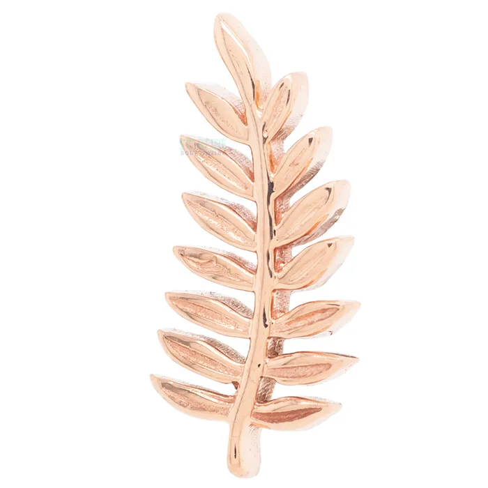 Earrings Body Vision BVLA Fern Threaded End in Gold