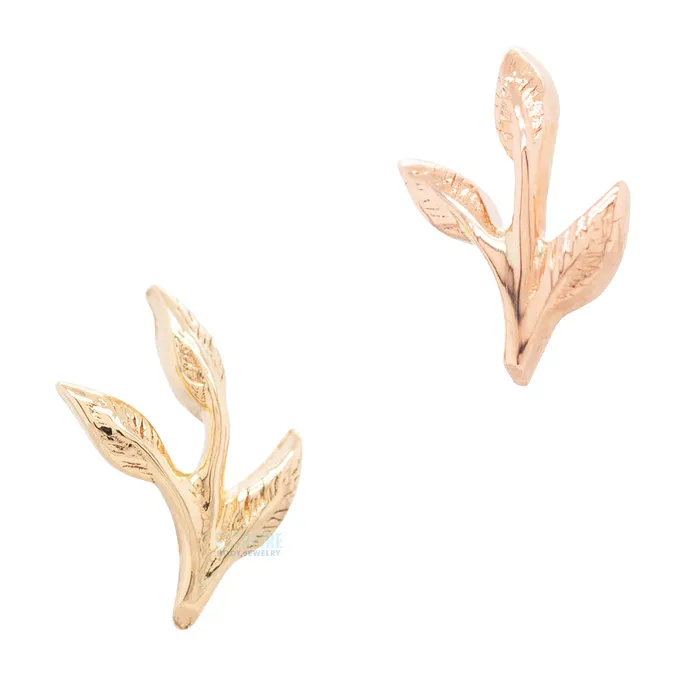 Earrings Junipurr Jewelry threadless Ashe End in Gold