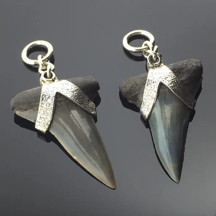 Megalodon Shark Teeth Hangers Diablo Organics Earrings