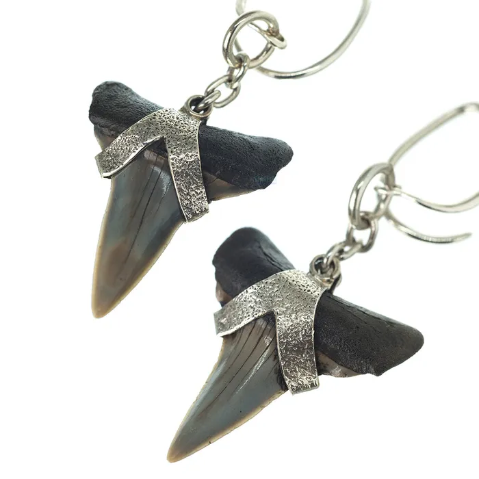 Megalodon Shark Teeth Hangers Diablo Organics Earrings