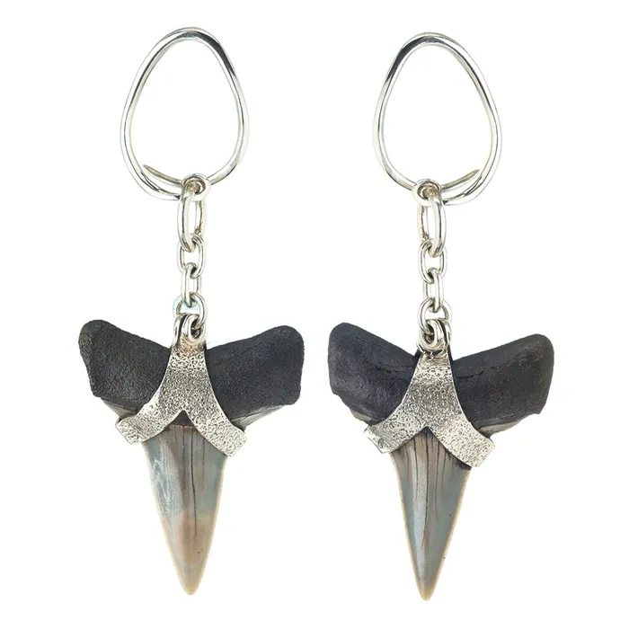 Megalodon Shark Teeth Hangers Diablo Organics Earrings