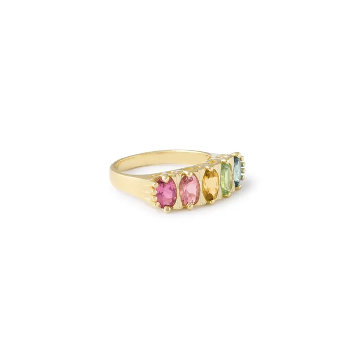 Rings Fox Bond Originals The FB Confetti Ombre Ring IN STOCK