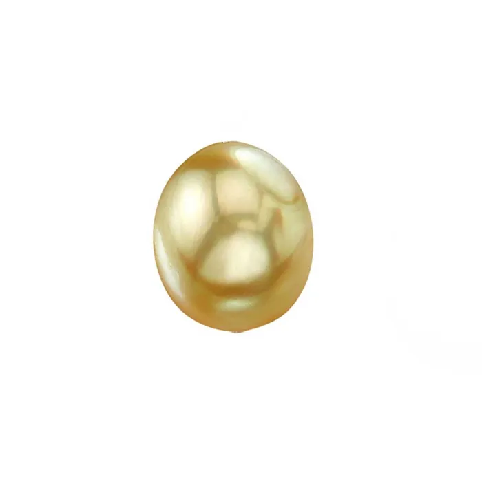 Earrings Pearly Lustre Drop Shape Golden Saltwater Pearl WA00021