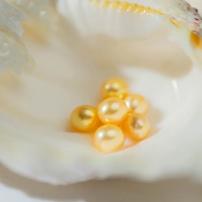 Earrings Pearly Lustre Drop Shape Golden Saltwater Pearl WA00021
