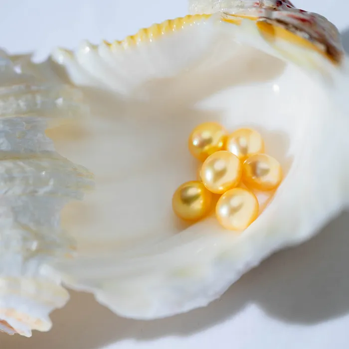 Earrings Pearly Lustre Drop Shape Golden Saltwater Pearl WA00021