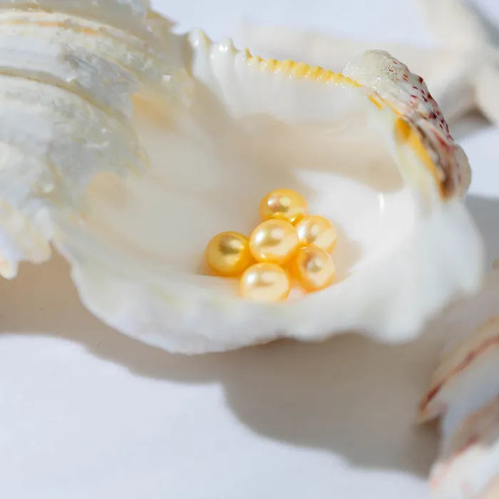 Earrings Pearly Lustre Drop Shape Golden Saltwater Pearl WA00021