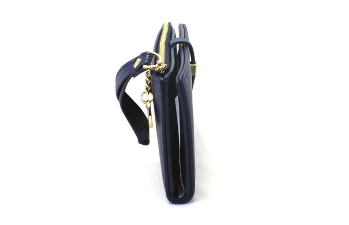 Earrings Walkeaze Women Stylish Wallet 2159W