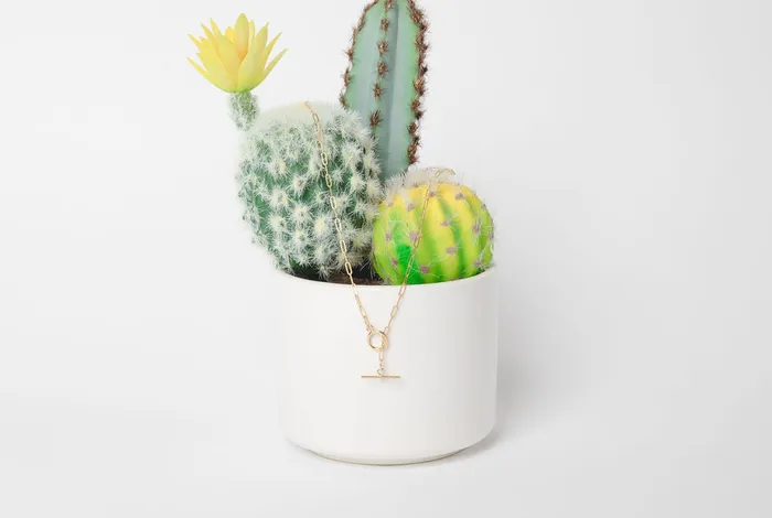 Halstead Necklaces Baby Antonia Chain Halstead Necklaces Baby Antonia Chain