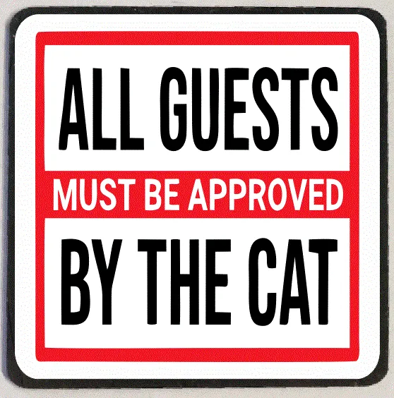 M234 Approved By The Cat Funny Refrigerator Magnet Iris Fashion Jewelry Earrings