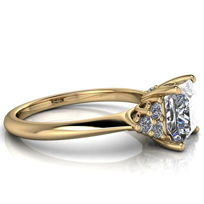 Rings Fire Brilliance Biddle PrincessSquare Moissanite Trio Side Diamonds Engagement Ring