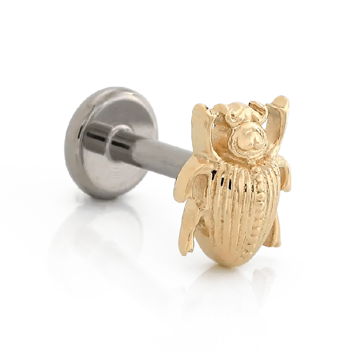 Scarab Beetle Body Vision Earrings