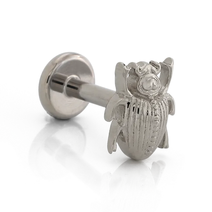 Scarab Beetle Body Vision Earrings