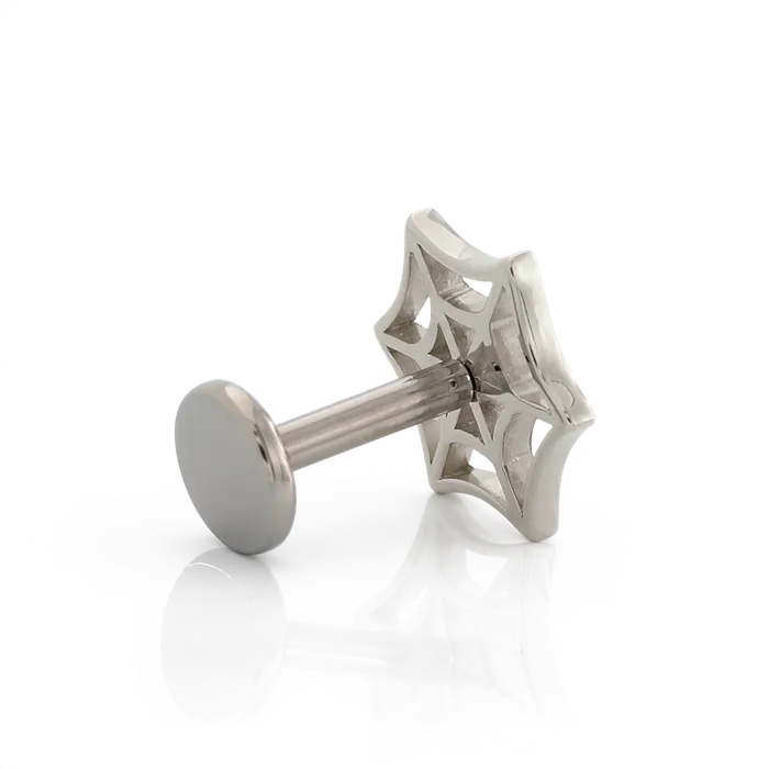 Spiderweb Body Vision Earrings