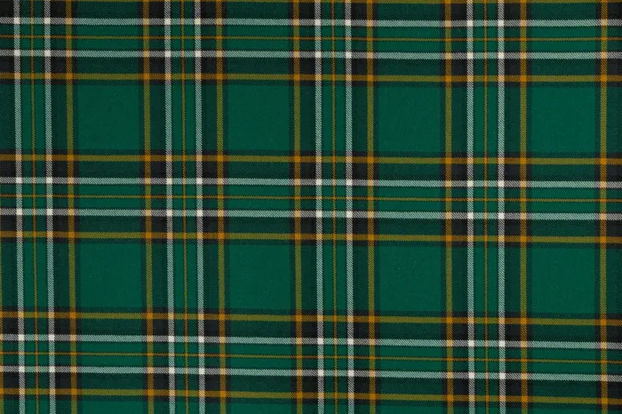 The Scottish and Irish Store Irish National Tartan ExRental Kilt Earrings