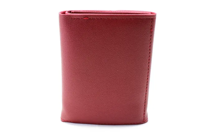 Walkeaze Earrings Women Stylish Wallet 2121W Walkeaze Earrings Women Stylish Wallet 2121W