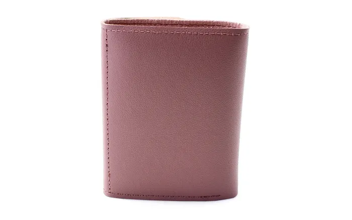 Walkeaze Earrings Women Stylish Wallet 2121W Walkeaze Earrings Women Stylish Wallet 2121W