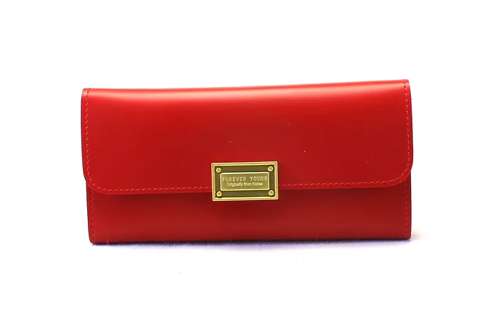Walkeaze Earrings Women Stylish Wallet 2154W