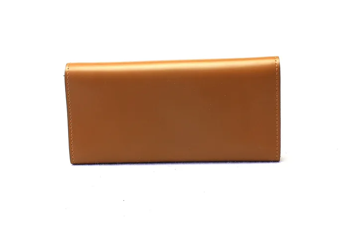 Walkeaze Earrings Women Stylish Wallet 2154W
