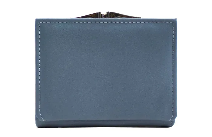 Walkeaze Earrings Women Stylish Wallet 3391W Walkeaze Earrings Women Stylish Wallet 3391W
