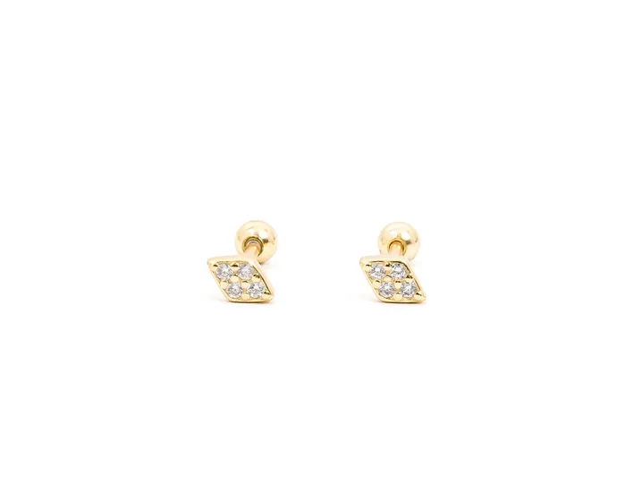 WANTME Earrings Twinkle Screwbacks