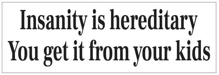 Winter Park Products Earrings STD7255 Insanity Is Hereditary You Get It From Your Kids Bumper Sticker